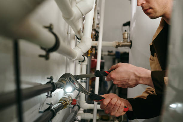 Best Plumbing Services Near Me  in Limestone, IL