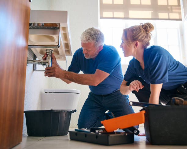 Best Emergency Plumbing Repair  in Limestone, IL